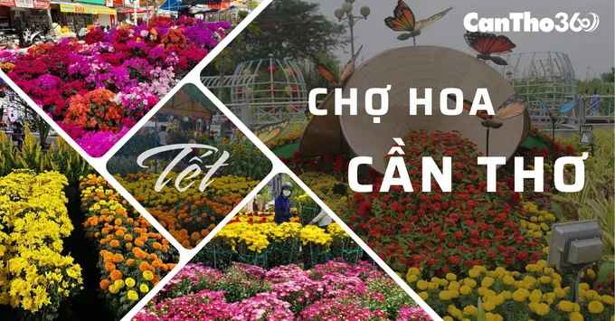 Khám phá những chợ hoa Tết tại Cần Thơ năm 2026