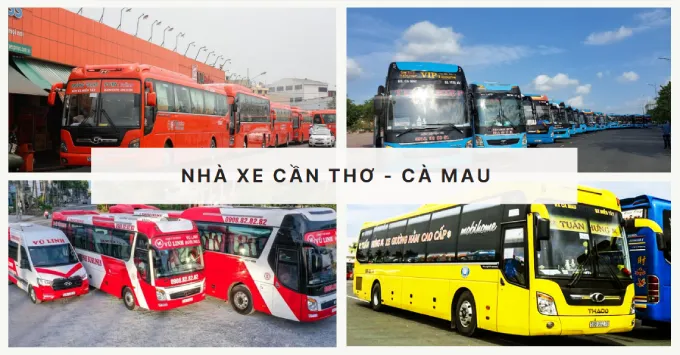 Danh sách xe Cần Thơ - Cà Mau kèm SĐT & Giá vé năm 2026