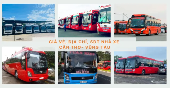 Giá vé, Địa chỉ, SĐT nhà xe Cần Thơ đi Vũng Tàu mới nhất 2026