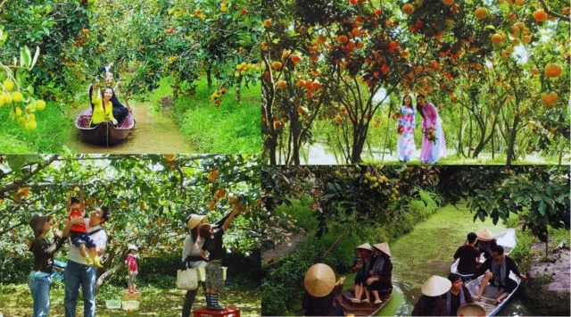 Chèo xuồng ba lá, tận hưởng trái cây miệt vườn tươi ngon