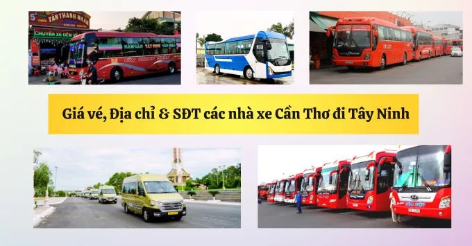 Giá vé, Địa chỉ, SĐT nhà xe Cần Thơ đi Tây Ninh năm 2026
