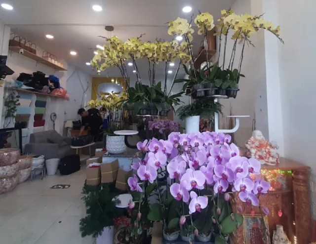 Thanh Flower