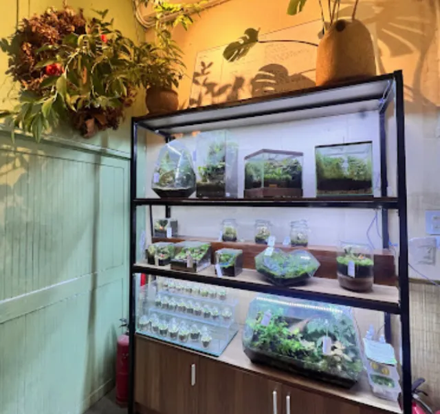 Tiệm hoa Ông Xã