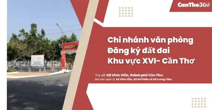 Chi nhánh Văn phòng đăng ký đất đai khu vực XVI - Cần Thơ 2026