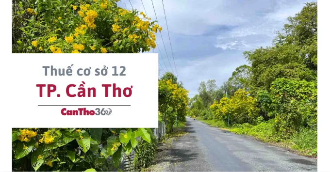 Địa chỉ, Số điện thoại Thuế cơ sở 12 TP. Cần Thơ năm 2026